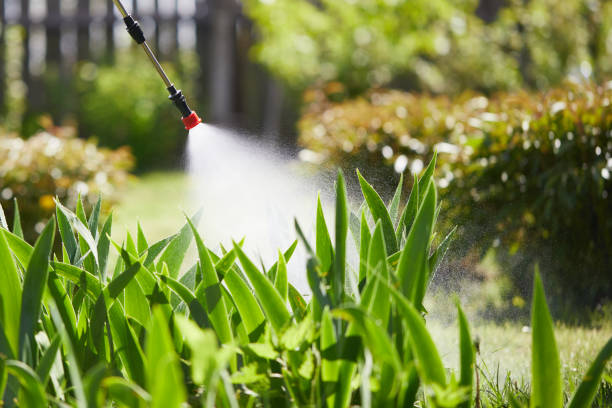 24/7 Emergency Termite Control experts in Gerald, MO